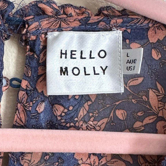 Hello Molly Blue and Pink Floral Long Sleeve Dress size large - Picture 3 of 6